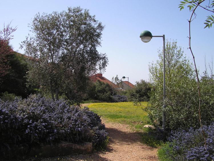 ירוק בעינים