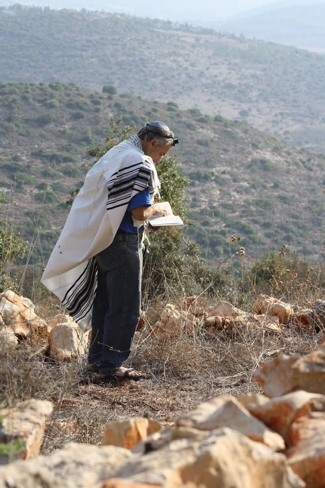תפילה מול הבריאה