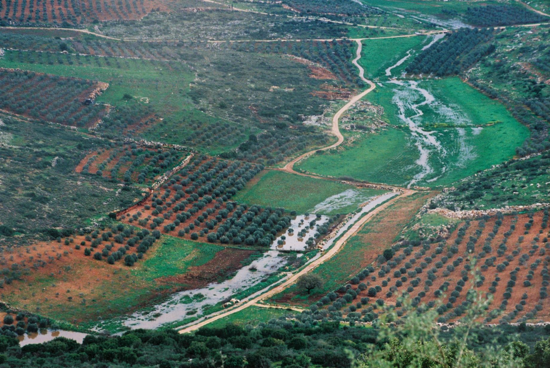 בקעת סיכנין מוצפת