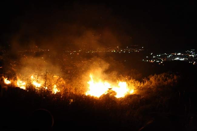 יום העצמאות