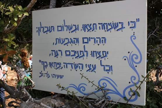 שלט הכוונה
