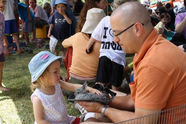 יום העצמאות