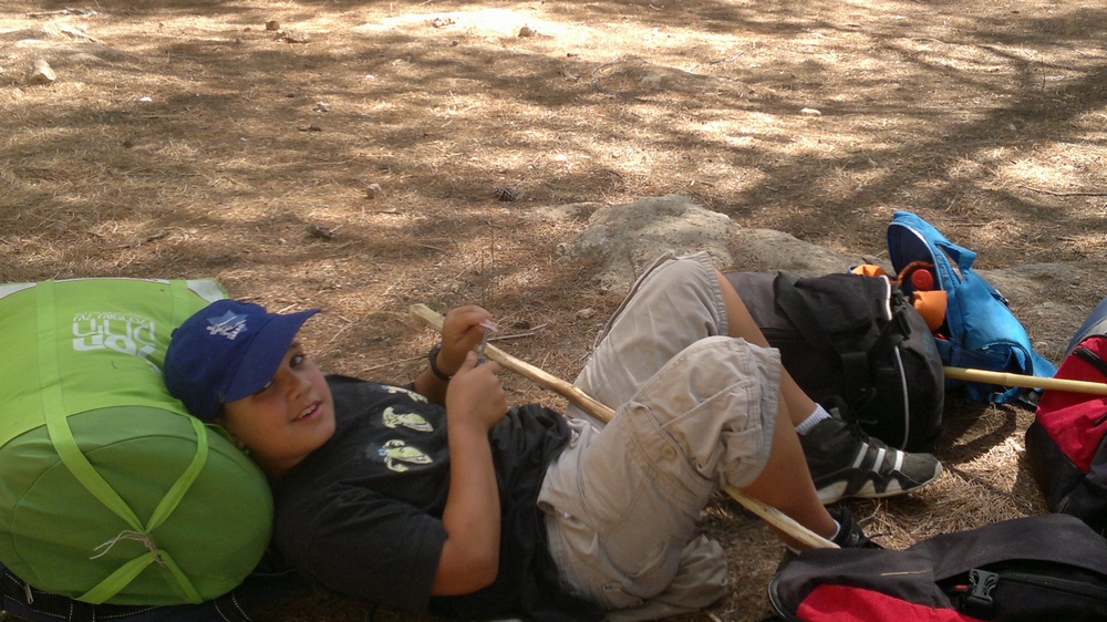 צפונבורי 2012