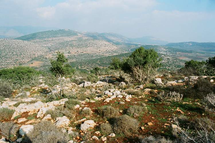 נוף גלילי