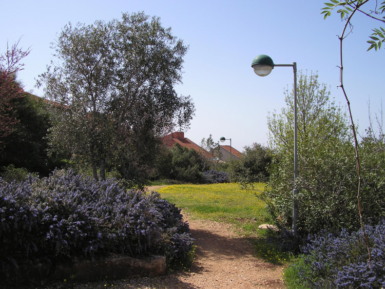 בין הבתים