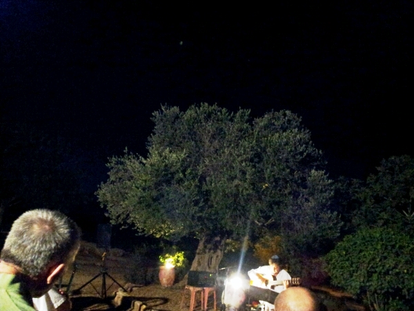 ז'אן רוברט בהופעה עם גיטרה אקוסטית ומנגינות מרחבי העולם מברזיל לארגנטינה ספרד וישראל