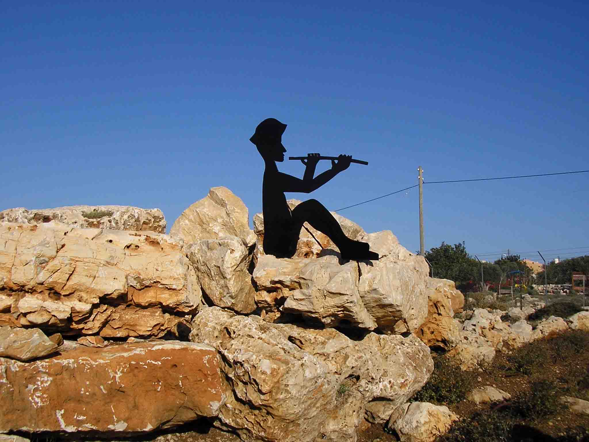 רועה אשחרי