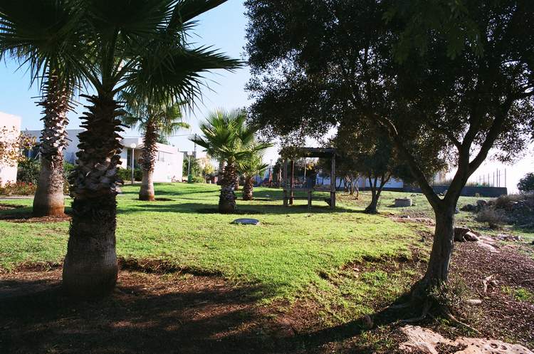 מרכז הישוב