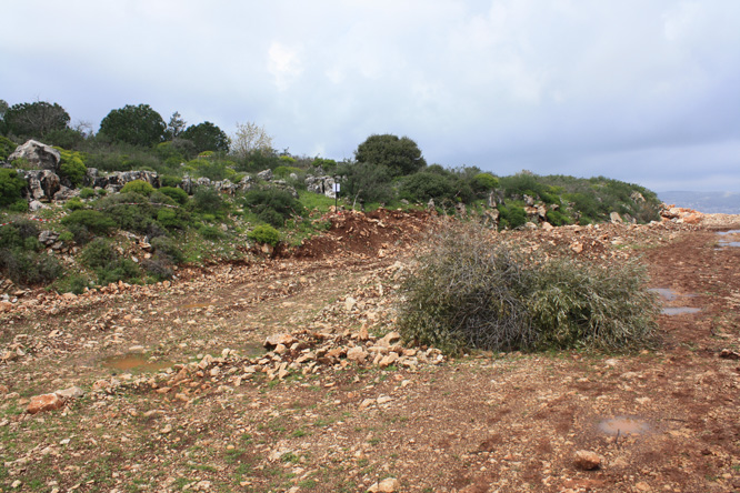 יום קליטה מרץ 2012