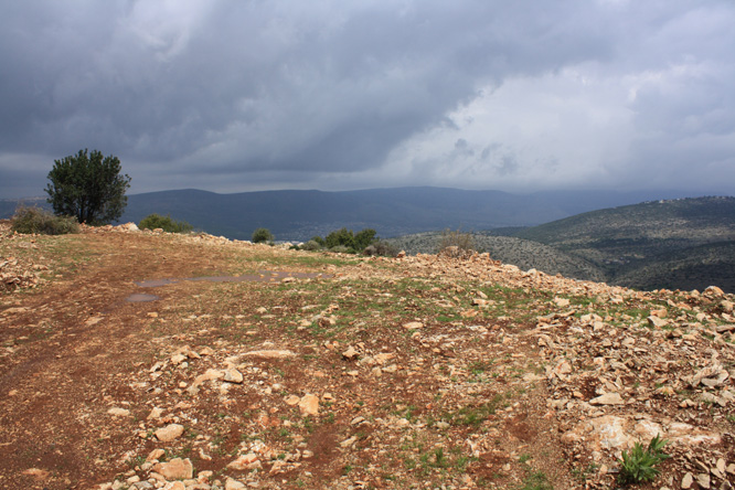 יום קליטה מרץ 2012