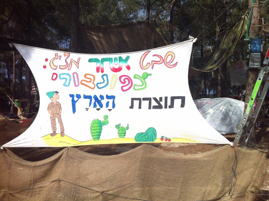תוצרת הארץ