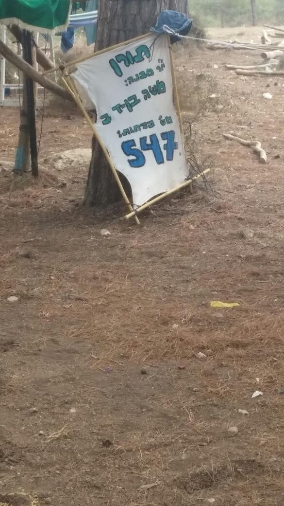 תורן2