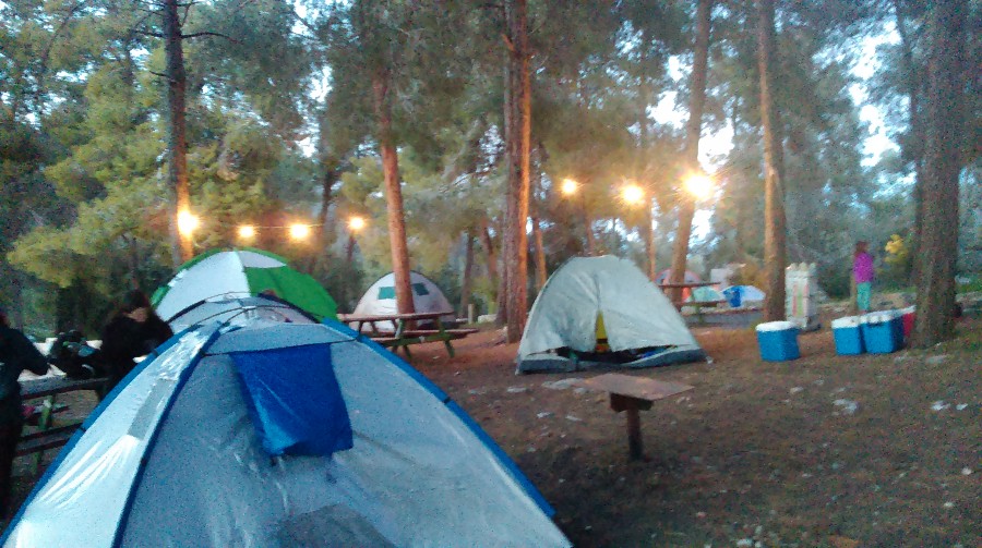IMAG1004