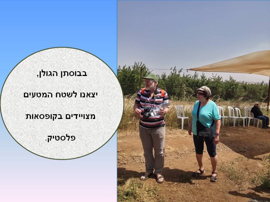 Slide4