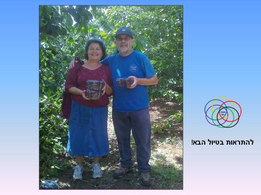 Slide9