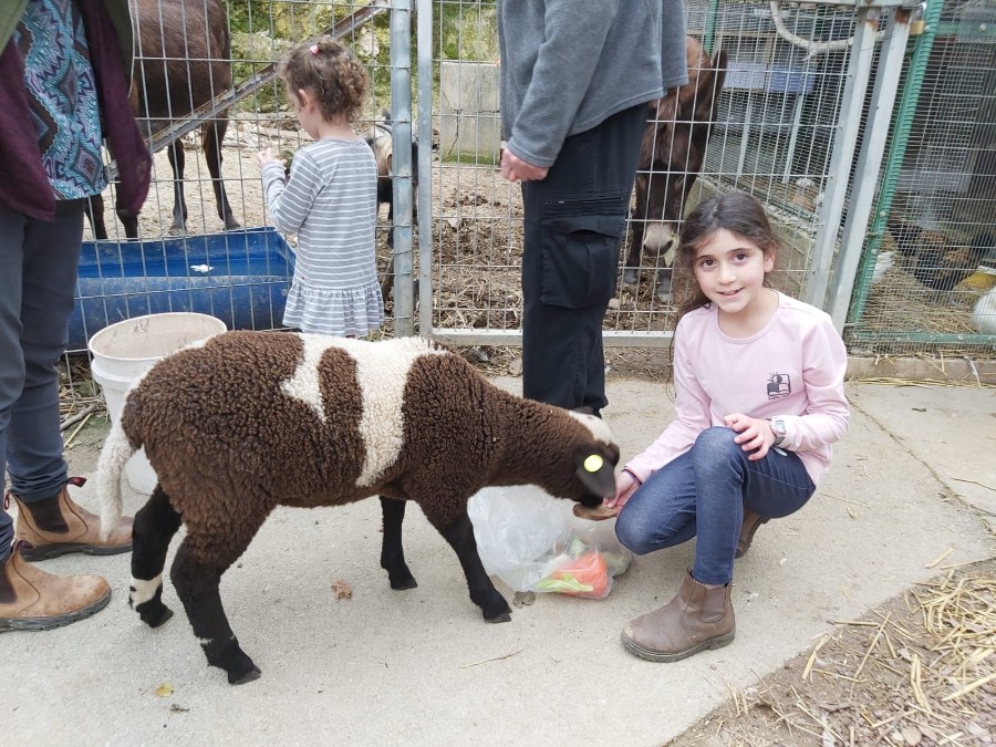 לקט תמונות פינת חי