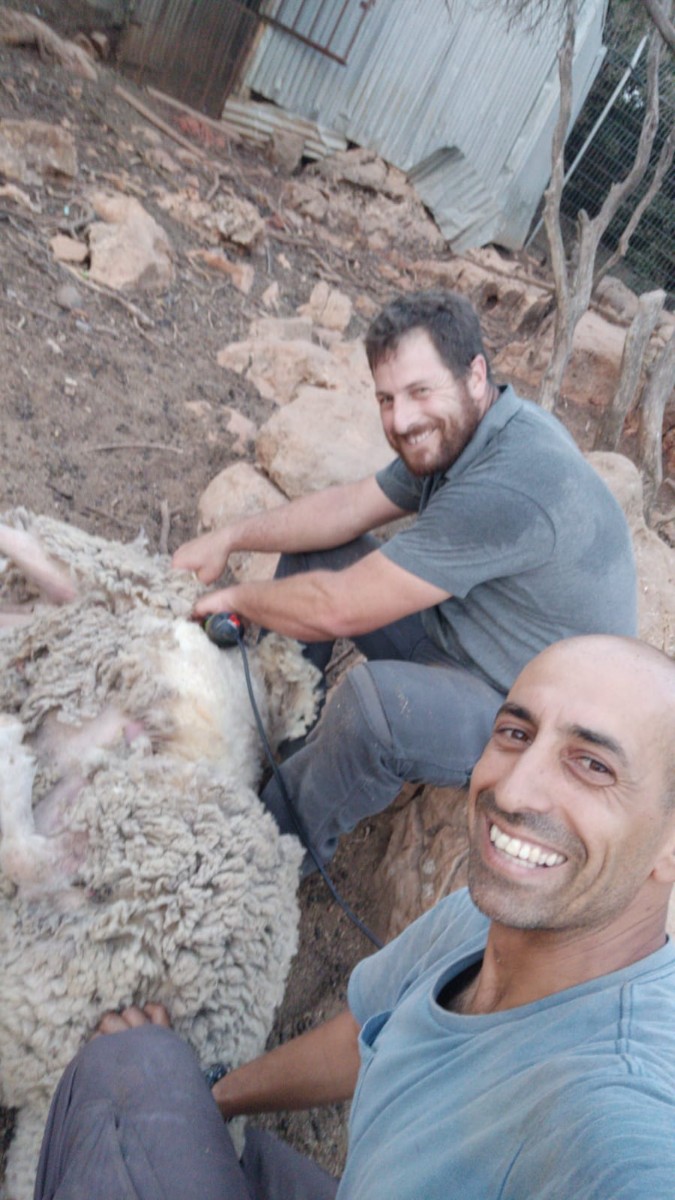 לקט תמונות פינת חי